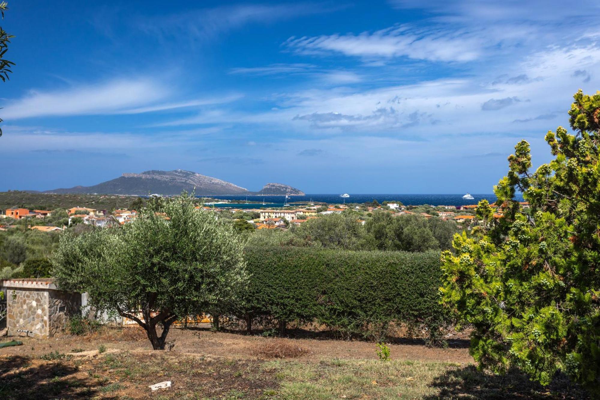 Homey Experience - Panorama Retreat Olbia Extérieur photo